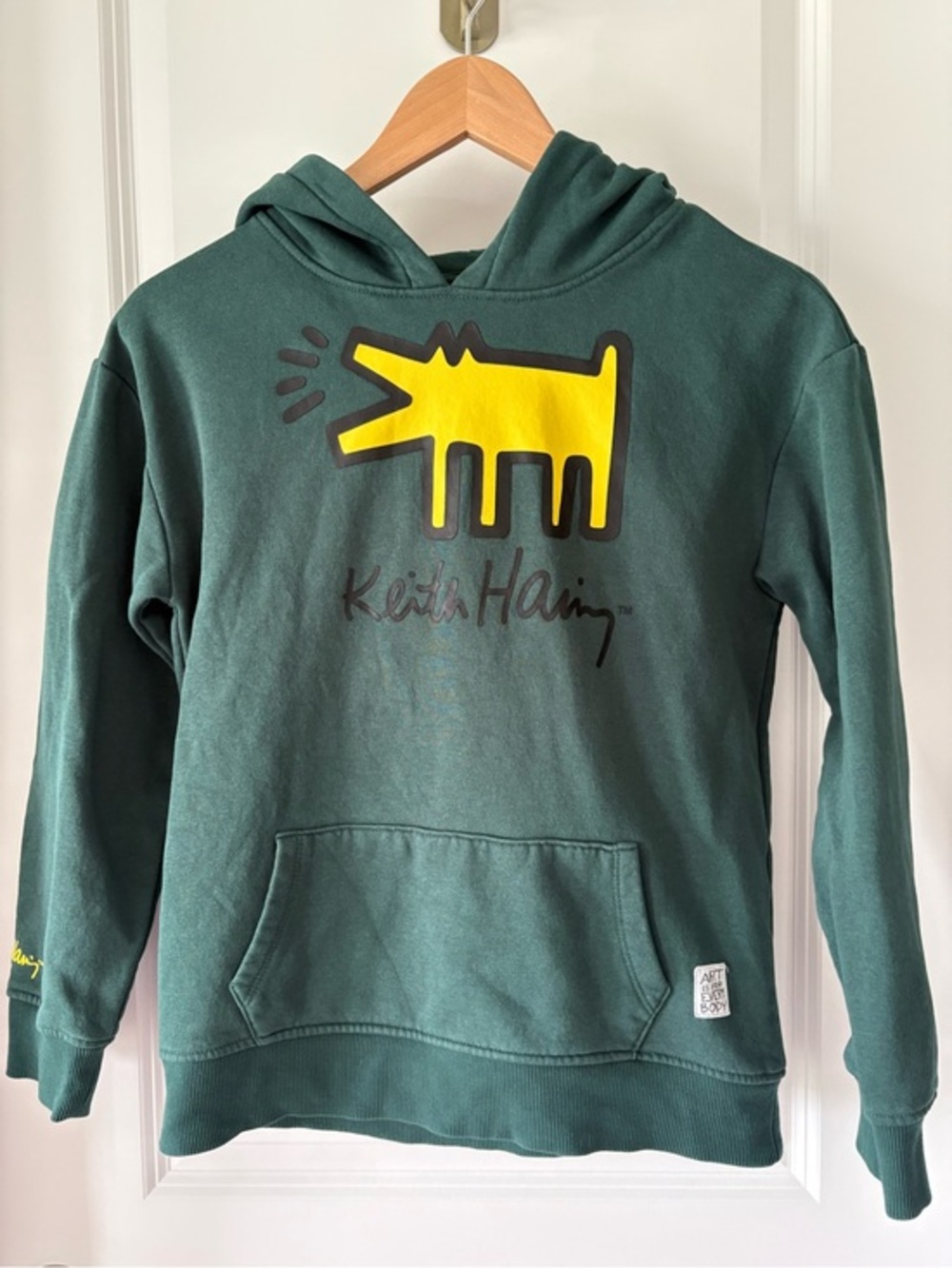Keith Haring Art Is For Everybody Hoodie Kids XL Green Fleece